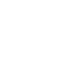 International Srl
